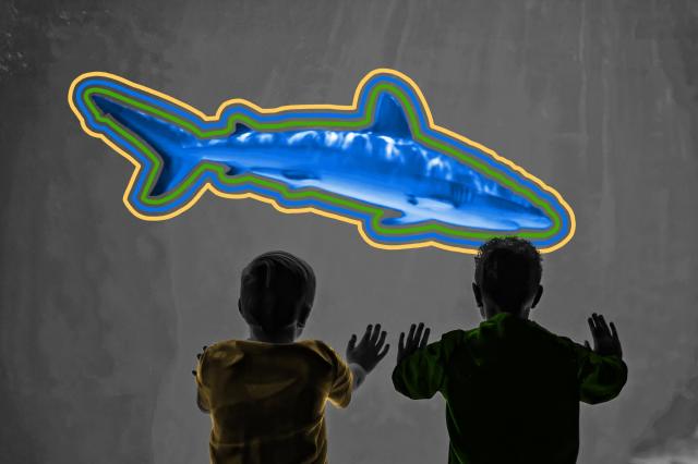 Two boys watching a large shark at an indoor aquarium