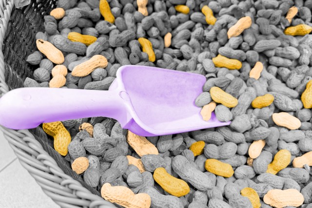 Scoop in a basket of peanuts