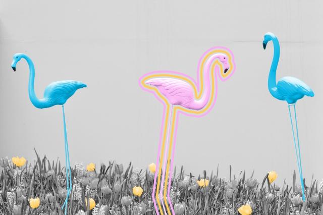 Plastic flamingo lawn ornaments