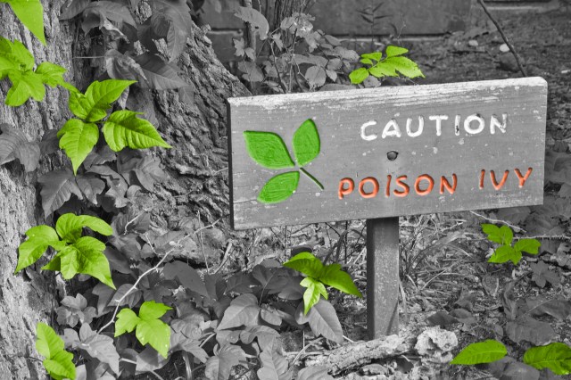 Sign warning about poison ivy