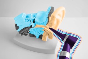 Otoscope with ear model for otolaryngologist